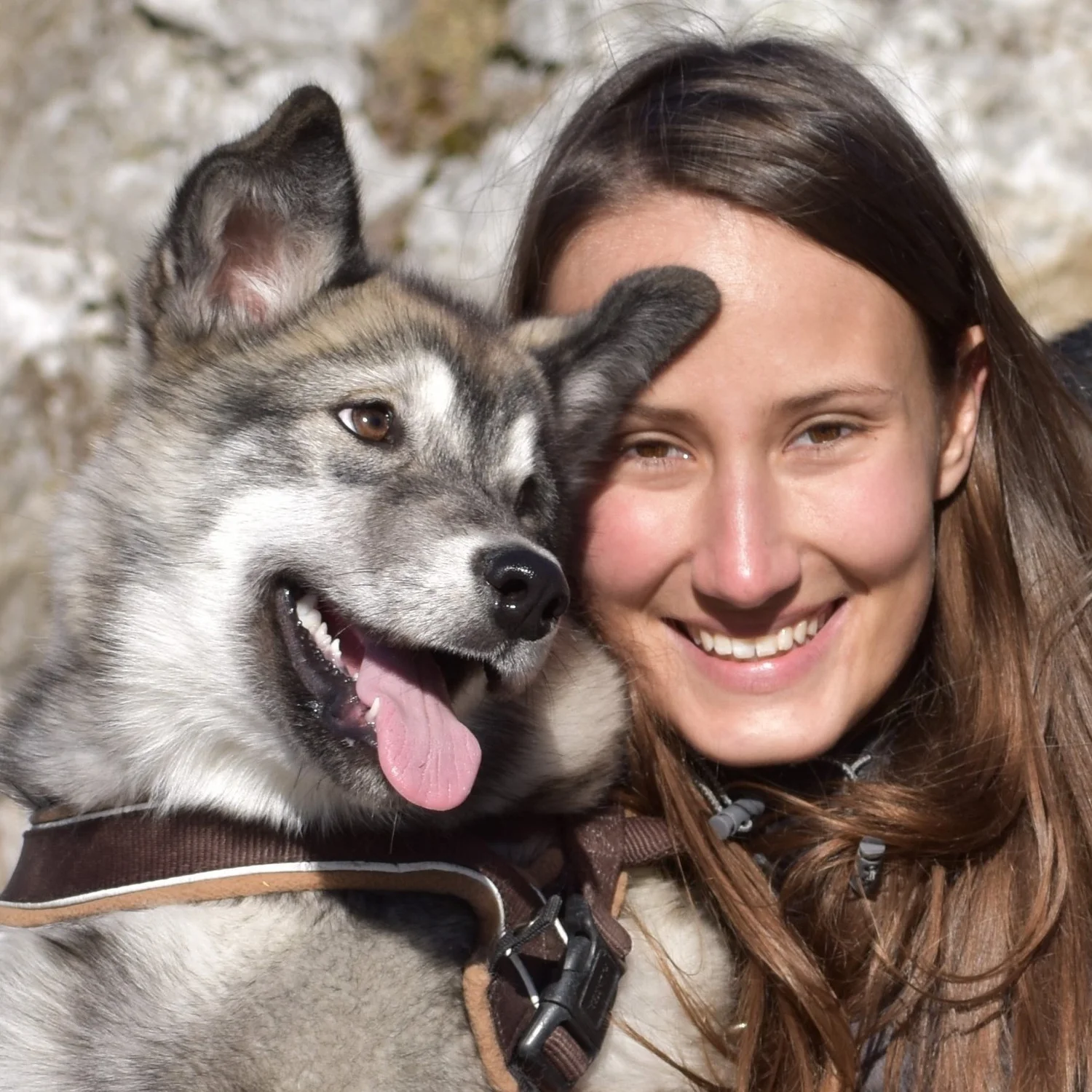 Giulia con un Alaskan Malamute